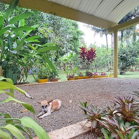 Villa Anacahuita, Limonal Jarabacoa Exteriér fotografie