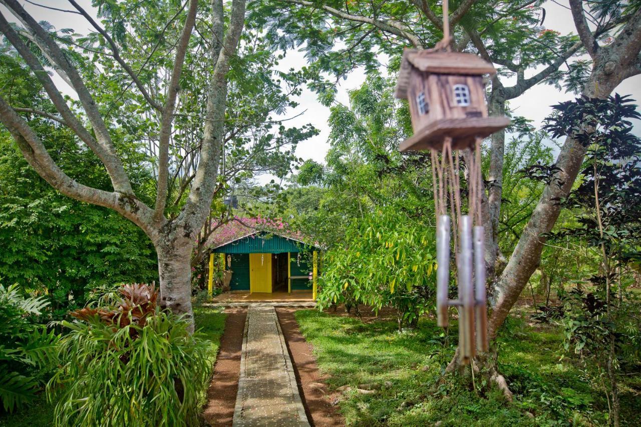 Villa Anacahuita, Limonal Jarabacoa Exteriér fotografie